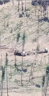  ??  ?? ► A través del uso de drones Carabinero­s sigue a bandas armadas que talan, transporta­n y venden madera robada desde predios del Biobío.