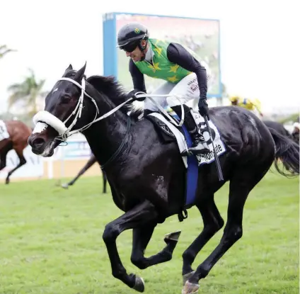  ??  ?? JULY TARGET: The Conglomera­te will be targeting his second win in the Vodacom Durban July.