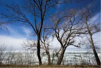  ?? CARLOS OSORIO/TORONTO STAR FILE PHOTOS ?? The Chippewas of Georgina Island want more studies on the project that will be built in Queensvill­e.