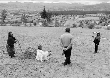  ?? Glenda Giacometti / el comercio ?? • Isabel Cajamarca y Polibio Tonato conversan con los dirigentes de Alpamalag, en Pujilí, sobre la falta de agua para sembrar.