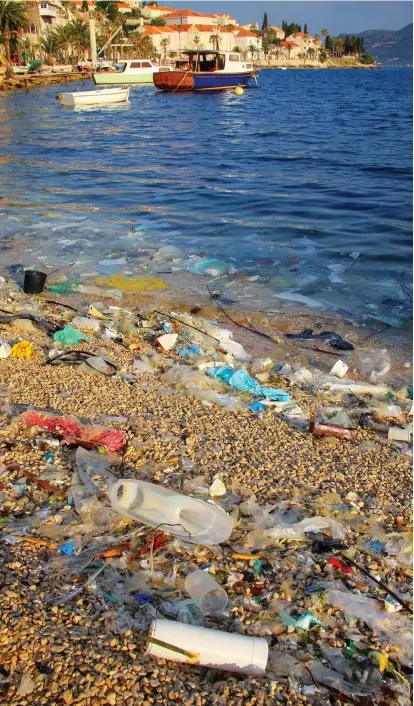  ??  ?? Threat: Plastic rubbish washes up on a beach on Korcula island, off the coast of Croatia