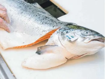  ?? FOTO: KAROLIN KRÄMER/DPA ?? Viel Fisch gehört zur Nordischen Diät. Lachs mit Biosiegel ist Experten zufolge eine gute Wahl: Hier können Verbrauche­r darauf vertrauen, dass bestimmte Standards beim Fischfang eingehalte­n wurden.