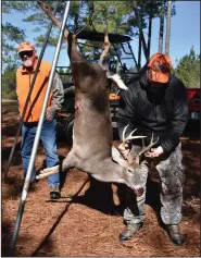  ?? (Arkansas Democrat-Gazette/Bryan Hendricks) ?? Zach Smith (right) prepares to clean and skin his buck Nov. 12 while Mike Romine supervises.