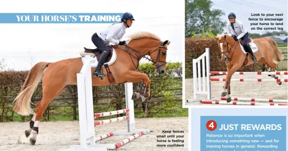  ??  ?? Keep fences small until your horse is feeling more confident