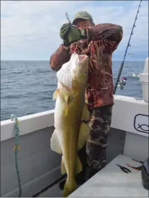  ??  ?? Parfois un pêcheur est en veine. Ce n’est pas du hasard, le maniement qu’il propose est probableme­nt la seule raison de ce succès.