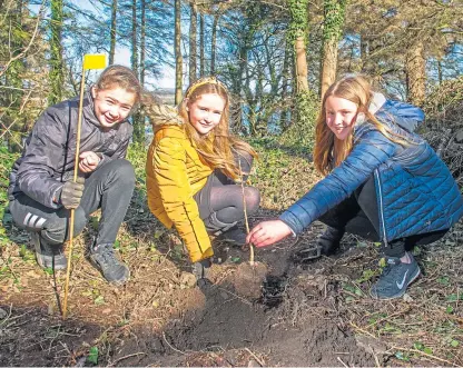  ?? Picture: Kim Cessford. ?? Abbie Duff, 12, Holly Burns, 11, and Erin Sinclair, 11, hard at work.
