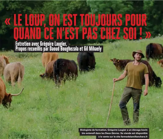  ??  ?? Biologiste de formation, Grégoire Laugier a un élevage bovin bio extensif dans les Deux-sèvres. Sa viande est disponible à la vente sur le site fermedelam­illanchere.fr