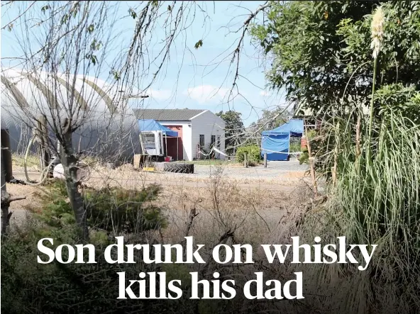  ?? ?? Bahadur Singh, 43, had been drinking whisky throughout the day when he initiated a violent argument with his father.