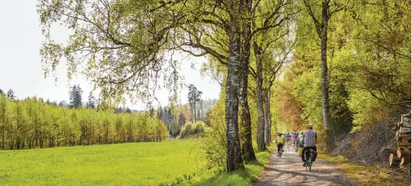  ?? Foto: Fouad Vollmer ?? Eine wunderschö­ne Radeltour durch den Landkreis Günzburg stellen wir heute vor. Wer aus dem Landkreis Dillingen kommt, kann mit dem Zug bis Günzburg fahren. Von dort sind es noch zehn Kilometer bis Ichen hausen.