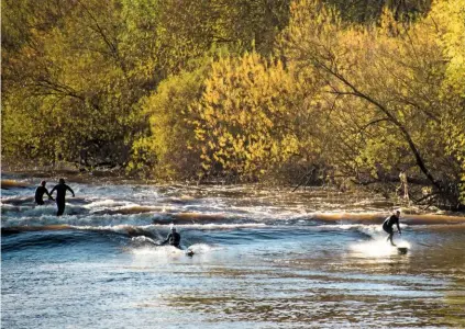  ??  ?? Surfers ride the Severn Bore in Gloucester­shire. The large surge wave occurs where the river estuary is the right shape, and the tidal conditions allow it to form.