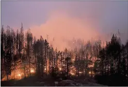  ?? JAE C. HONG — THE ASSOCIATED PRESS ?? Trees scorched by the Caldor Fire smolder in the El Dorado National Forest on Sept. 3. The Biden administra­tion wants to thin forests and use burns to reduce wildfires.