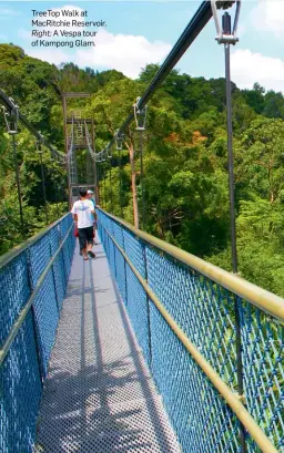  ??  ?? TreeTop Walk at MacRitchie Reservoir. Right: A Vespa tour of Kampong Glam.