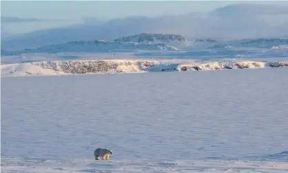  ??  ?? The Arctic island of Novaya Zemlya where the US has long claimed to suspect Russia could be carrying out low-yield nuclear tests. Photograph: Handout/AFP/Getty Images