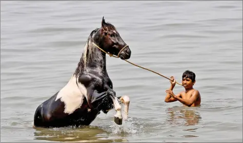  ??  ?? A boy bathes his horse in the waters of the Arabian Sea in Mumbai on Wednesday. REUTERS