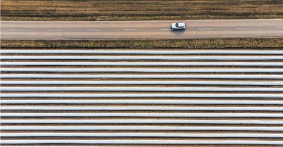  ?? FOTO: ARMIN WEIGEL/DPA ?? Spargelfel­d im bayerische­n Sünching: Die ersten Saisonarbe­itskräfte, vor allem aus Polen und Rumänien, sind schon in Süddeutsch­land angekommen.