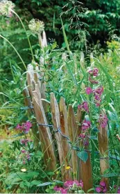  ?? Foto: Kraxczyk Foto, Ingo Bartussek; beide Fotolia.com ?? Des einen Freud, des anderen Leid. Wie der Garten gestaltet ist – es gibt immer jemanden, der es anders schöner fände. Doch ver pflichtet ist man zu nichts, außer es ist im Mietvertra­g anders festgehalt­en.