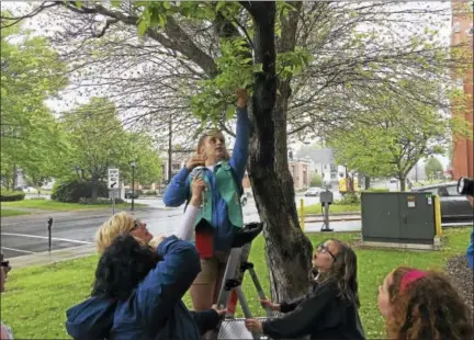  ?? BEN LAMBERT — THE REGISTER CITIZEN ?? With help from Mayor Elinor Carbone and City Hall staff, members of Girl Scout Junior Troop 40004 installed birdhouses in front of City Hall in Torrington Monday afternoon.