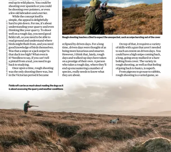  ?? ?? Rough shooting teaches a Shot to expect the unexpected, such as snipe bursting out of the cover
Fieldcraft can be as much about reading the dogs as it is about assessing the quarry and weather conditions