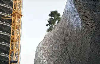  ?? Photos by Michael Short / Special to The Chronicle ?? Trees planted by McGuire and Hester are seen on top of the Transbay Transit Center. The trees are hoisted 70 feet to the 5.4-acre rooftop City Park, which is expected to become a destinatio­n.