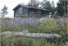  ??  ?? NØDBU: Ved fergeleiet på Røa står denne bua med tre fire køyer åpen for ly eller overnattin­g under enkle forhold i et hav av blåklokker.