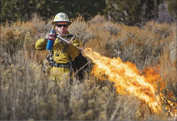  ?? (AP/The Salt Lake Tribune/Leah Hogsten) ?? Mike Elson, forest supervisor for Fishlake National Forest, uses a terra torch to start a prescribed burn Nov. 6 near the Moroni Peak area in Utah.