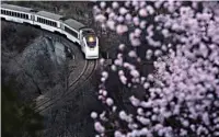  ?? WANG XIBAO / XINHUA ?? March 25 — A train rushes past the mountainou­s Juyongguan Pass segment of the Beijing-Zhangjiako­u Railroad.