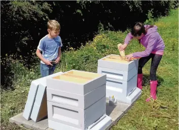  ??  ?? Busy bees Young Jenna and Harris Christie get the hives ready for their new inhabitant­s