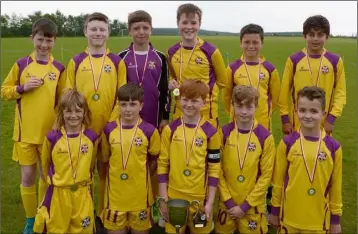 ??  ?? The Wexford Yellow Under-12 team, winners of the Tracey Lawlor Memorial Cup.