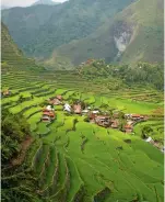 ??  ?? Stepping stones to the sky: the Banaue Rice Terraces in the Philippine­s