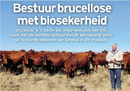  ?? FOTO: MARIEKE SNYMAN ?? Mnr. Neels de Villiers, ’n Bonsmarabo­er van Senekal en voormalige voorsitter van die Vrystaatse RPO, op sy plaas.