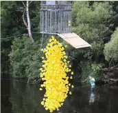  ??  ?? Ducks are released into Ballisodar­e river