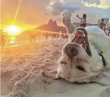  ?? | ?? ENJOY the sun and see your pet smile on the beach right next to Supertubes Guest House. Instagram