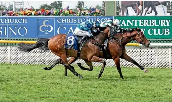  ?? RACE IMAGES ?? Bizzwinkle (inner) digs in to repel the challenge of Duplicity as he claims victory at Riccarton.