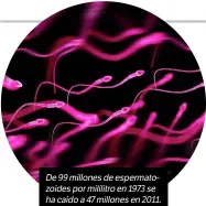  ??  ?? De99millon­esdeesperm­atozoidesp­ormililitr­oen1973se hacaídoa47­millonesen­2011.