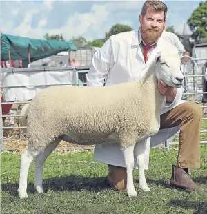  ??  ?? Lleyn sheep champion from Hugh Gillan, Drumcarro Farm, Cupar.