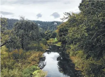  ?? ARCHIV-FOTO: DKD ?? Die Aach bei Blaubeuren ist teilweise sehr zugewucher­t, was neben vieler anderer Faktoren die Ablagerung von Sedimenten begünstigt. Dagegen werden aktuell in Blaubeuren und Schelkling­en Maßnahmen ergriffen.