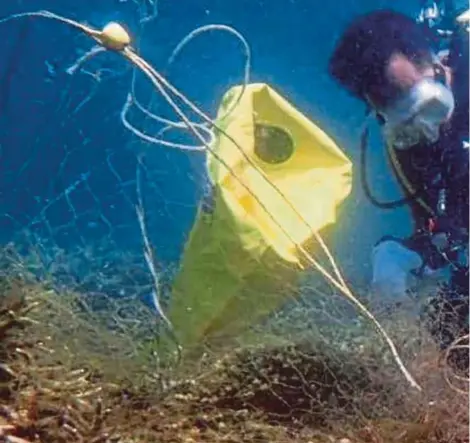  ?? FILE PIC ?? A Malaysia Marine Parks Department diver cutting a fishing net that can cause damage to corals on the seabed in waters off Besut, Terengganu, last year. (Inset) Retired First Admiral Datuk Chin Yoon Chin.