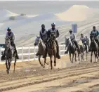  ??  ?? The 120km ride saw 156 horses vying for glory in Al Wathba on Saturday.