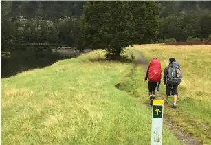  ??  ?? Gula pilar visar vägen efter den populära vandringsl­eden Milford Track.