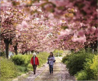  ?? MATT ROURKE - ASSOCIATED PRESS ?? People, one wearing a protective face mask as a precaution against the coronaviru­s, walk beneath blossoming trees in Philadelph­ia, Tuesday, April 14, 2020.
