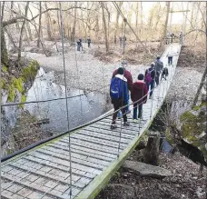  ?? NWA Democrat-Gazette/Flip Putthoff ?? Crossing the swinging bridge is a highlight of a hike along the 2-mile Tanyard Creek Nature Trail in Bella Vista. The trail is a microcosm of what people associate with the Ozarks. It has a spring, mountain stream, bluffs, forest and a waterfall all contained in an easy hike.