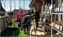  ??  ?? Les Pépinières Lapèze sur le site du Musée du Paysan Gascon