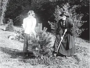  ?? Pic: Bath In Time ?? The tree was planted in 1909 by suffragett­e Rose Lamartine-yates