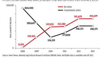  ??  ?? Bt cotton covered two-thirds of cotton farms for five years before being phased out. In 2017, no GM cotton was sown; a bumper crop was harvested from ordinary seeds