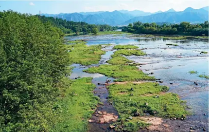  ?? ?? A view of the Songyin Creek Wetland in Songyang County, Lishui City, Zhejiang Province