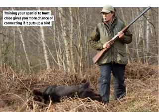  ?? ?? Training your spaniel to hunt close gives you more chance of connecting if it puts up a bird