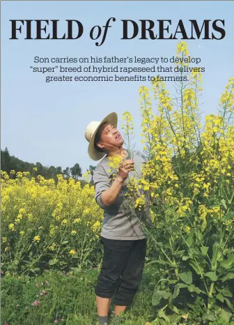  ?? PHOTOS PROVIDED TO CHINA DAILY ?? Shen Changjian works on the rapeseed farm in Linli county, Hunan province, last year.