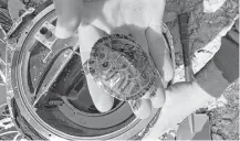  ?? KuangChi Science ?? The most recent test flight of a high-altitude balloon being developed by Hong Kong-based KuangChi Science carried a small turtle in a container.