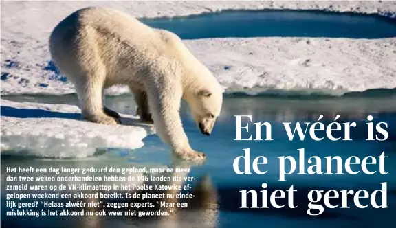  ?? FOTO AFP ?? Een ijsbeer test de dikte van het ijs op de Arctische Oceaan. De opwarming van de aarde zorgt ervoor dat er steeds meer ijs verdwijnt op de koudste plekken van onze planeet.