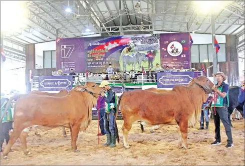  ?? CHHORN NORN ?? Cow exhibition at Vihear Suor commune in Kandal province’s Khsach Kandal district on December 19.